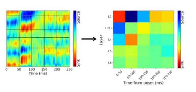 img_segmentation