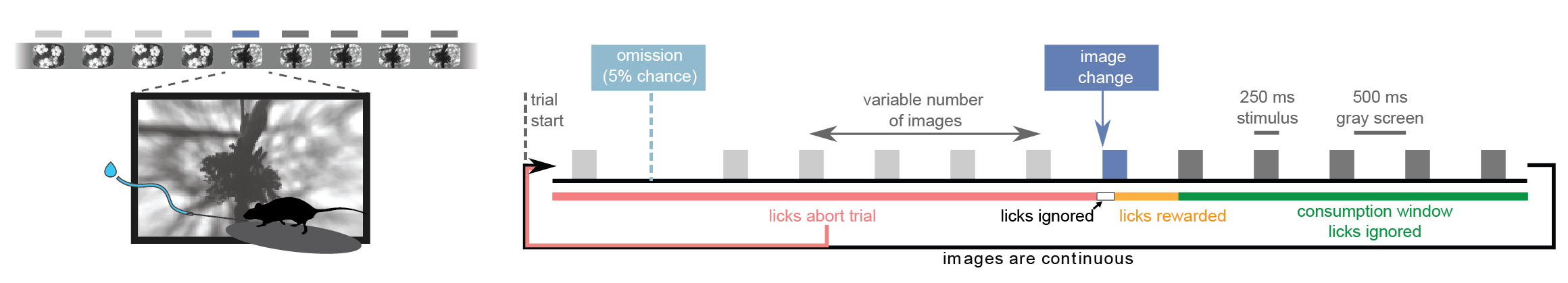 task_setup