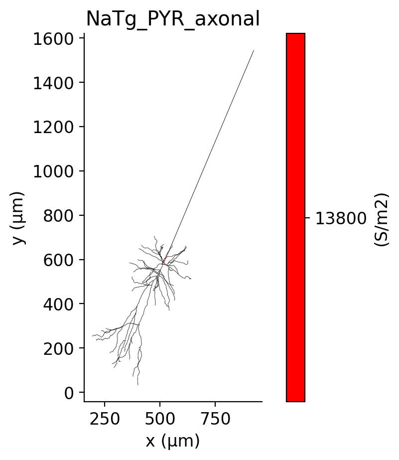 HL23PYR_NaTg_PYR_axonal.ion.png