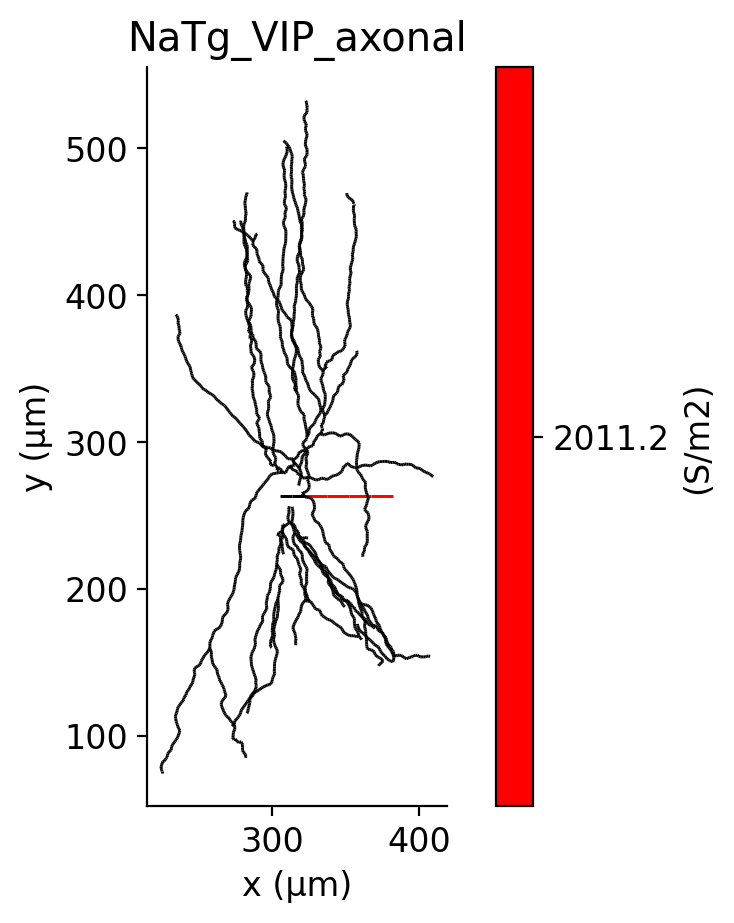 HL23VIP_NaTg_VIP_axonal.ion.png