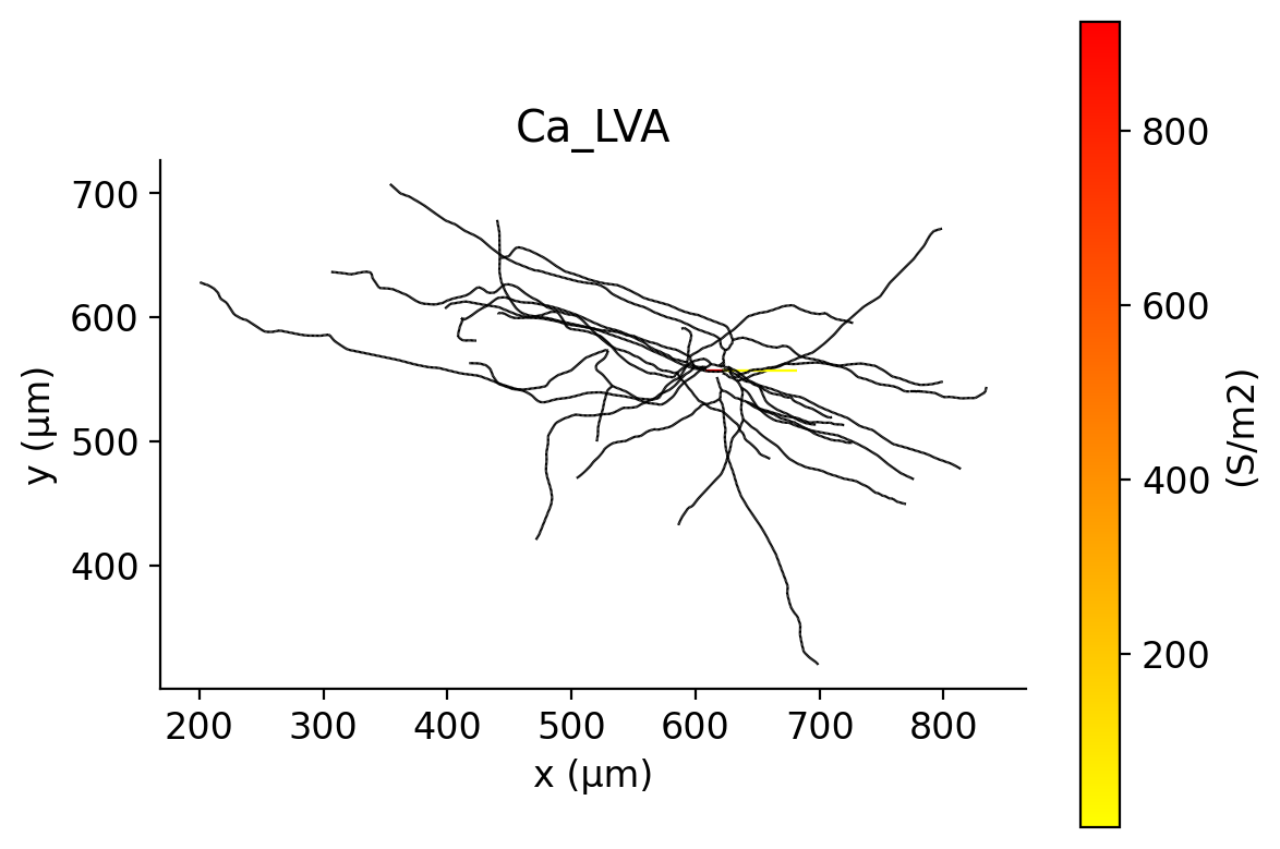 HL23PV_Ca_LVA.ion.png