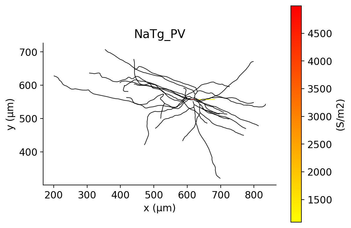 HL23PV_NaTg_PV.ion.png