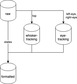 schematics of the flow of analysis